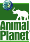 animal planet logo